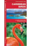 Caribbean Birds