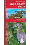 Gulf Coast Birds: A Folding Pocket Guide to Familiar Species