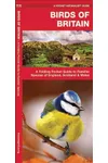 Birds of Britain of England, Scotland & Wales