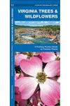 Virginia Trees & Wildflowers