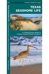 Texas Seashore Life: A Folding Pocket Guide to Familiar Coastal Plants & Animals