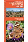 Southwestern Butterflies & Moths: A Folding Pocket Guide to Familiar Species