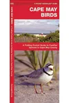 Cape May Birds in Cape May County