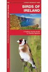 Ireland Birds: A Folding Pocket Guide to Familiar Species
