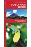 Costa Rica Birds