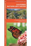 California Butterflies & Moths: An Introduction to Familiar Species