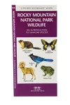 Rocky Mountain National Park Wildlife: An Introduction to Familiar Species