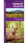 Vermont Wildlife