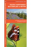 Pacific Northwest Butterflies & Moths