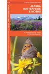 Alaska Butterflies & Moths: A Folding Pocket Guide to Familiar Species