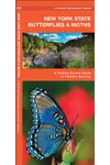 New York State Butterflies & Moths