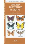 Virginia Butterflies & Moths: A Folding Pocket Guide to Familiar Species