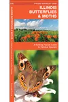 Illinois Butterflies & Moths: A Folding Pocket Guide to Familiar Species