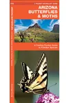 Arizona Butterflies & Moths: A Folding Pocket Guide to Familiar Species
