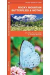 Rocky Mountain Butterflies & Moths: A Folding Pocket Guide to Familiar Species