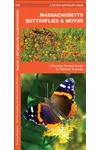 Massachusetts Butterflies & Moths: A Folding Pocket Guide to Familiar Species