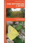 Ohio Butterflies & Moths: A Folding Pocket Guide to Familiar Species