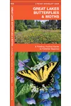 Great Lakes Butterflies & Moths: A Folding Pocket Guide to Familiar Species