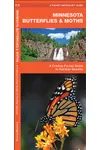 Minnesota Butterflies & Moths: A Folding Pocket Guide to Familiar Species