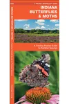 Indiana Butterflies & Moths: An Introduction to Familiar Species