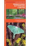 Pennsylvania Butterflies & Moths: A Folding Pocket Guide to Familiar Species