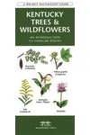 Kentucky Trees & Wildflowers