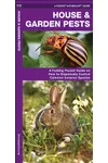 House & Garden Pests: How to Organically Control Common Invasive Species