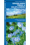 Grasslands Trees & Wildflowers: A Folding Pocket Guide to Familiar Species