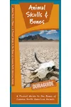 Animal Skulls & Bones Laminated