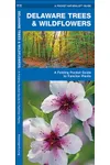 Delaware Trees & Wildflowers