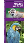 Amazon Wildlife