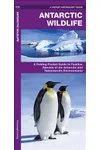 Antarctic Wildlife of the Antarctic and Subantarctic Environments
