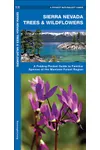 Sierra Nevada Trees & Wildflowers of the Montane Forest Region