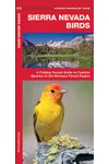 Sierra Nevada Birds