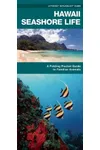 Hawaii Seashore Life
