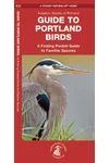 Guide to Portland Birds : An Introduction to Familiar Species
