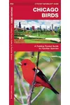 Chicago Birds: A Folding Pocket Guide to Familiar Species