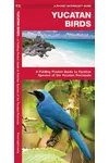 Yucatan Birds: A Folding Pocket Guide to Familiar Species of the Yucatan Peninsula