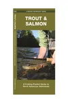 Trout & Salmon: A Folding Pocket Guide to North American Salmonids