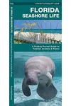 Florida Seashore Life: A Folding Pocket Guide to Familiar Plants and Animals