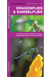 Dragonflies & Damselflies