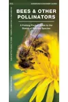 Bees & Other Pollinators