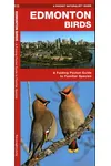 Edmonton Birds: A Folding Pocket Guide to Familiar Species