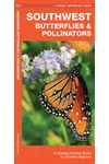 Southwest Butterflies & Pollinators: A Folding Pocket Guide to Familiar Species