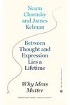 Why Ideas Matter