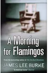 A Morning for Flamingos