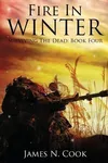 Fire in Winter