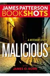 Cover of Malicious