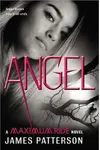 Cover of Angel