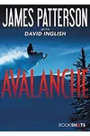 Cover of Avalanche